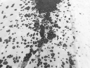 Snow on sidewalk. Black and white image.